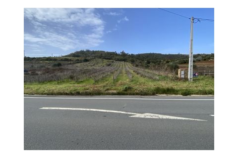 Terra a Aljezur, Faro, Aljezur - € 185.000 | Ref: T-467 - foto 6