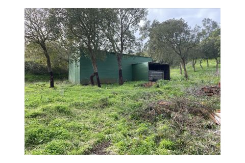 Terra a Aljezur, Faro, Aljezur - € 185.000 | Ref: T-467 - foto 9