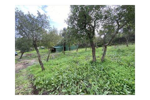 Terra a Aljezur, Faro, Aljezur - € 185.000 | Ref: T-467 - foto 8