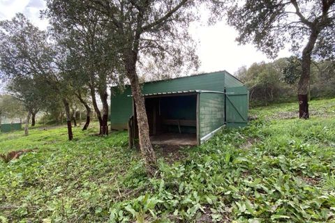 Terra a Aljezur, Faro, Aljezur - € 185.000 | Ref: T-467 - foto 3