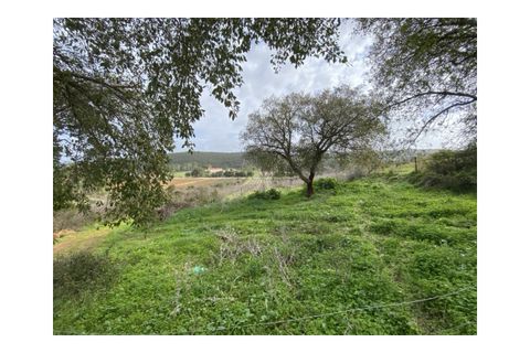 Terra a Aljezur, Faro, Aljezur - € 185.000 | Ref: T-467 - foto 4