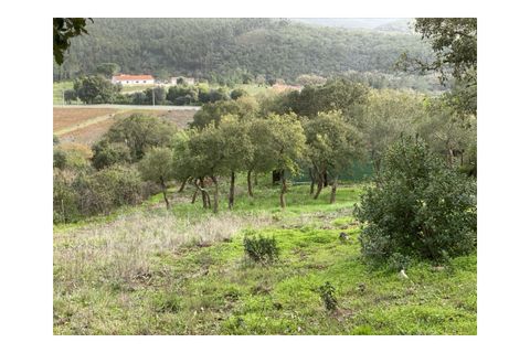 Terra a Aljezur, Faro, Aljezur - € 185.000 | Ref: T-467 - foto 13