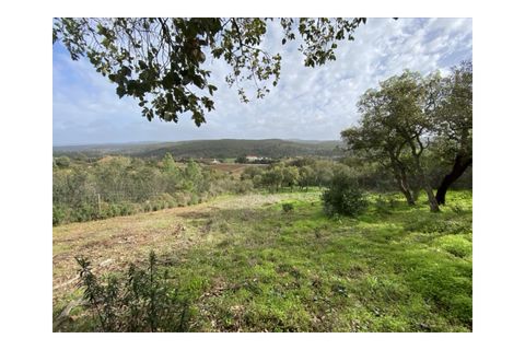 Terra a Aljezur, Faro, Aljezur - € 185.000 | Ref: T-467 - foto 14
