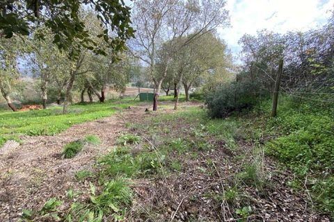 Terra a Aljezur, Faro, Aljezur - € 185.000 | Ref: T-467 - foto 15