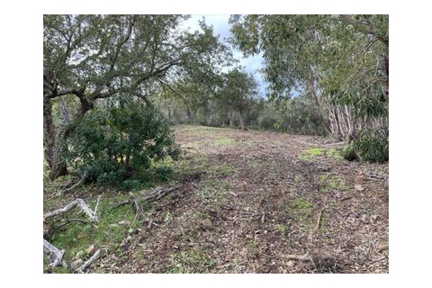 Terra a Aljezur, Faro, Aljezur - € 185.000 | Ref: T-467 - foto 16
