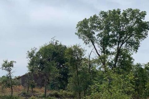 Helårsgrund i Odemira, Beja, Odemira - € 37.000 | Ref: T-506 - foto 2