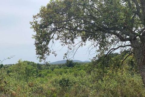 Helårsgrund i Odemira, Beja, Odemira - € 37.000 | Ref: T-506 - foto 3
