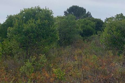 Helårsgrund i Odemira, Beja, Odemira - € 37.000 | Ref: T-506 - foto 4
