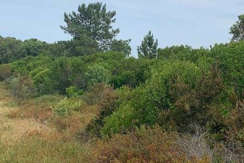 Helårsgrund i Odemira, Beja, Odemira - € 37.000 | Ref: T-506 - foto 5