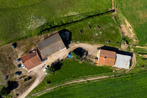 Farm i Odemira, Beja, Odemira - € 490.000 | Ref: Qt-606 - foto 5