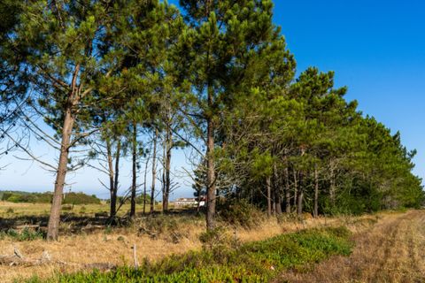 Villa i Aljezur, Faro, Aljezur - € 325.000 | Ref: Qt-435 - foto 4