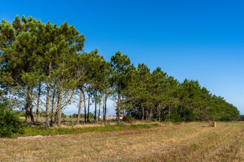 Villa i Aljezur, Faro, Aljezur - € 325.000 | Ref: Qt-435 - foto 5