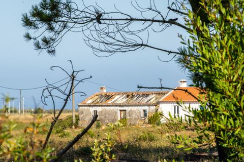 Villa i Aljezur, Faro, Aljezur - € 325.000 | Ref: Qt-435 - foto 12