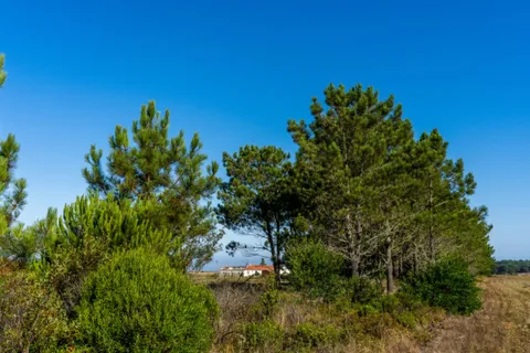 Villa i Aljezur, Faro, Aljezur - € 325.000 | Ref: Qt-435 - foto 13