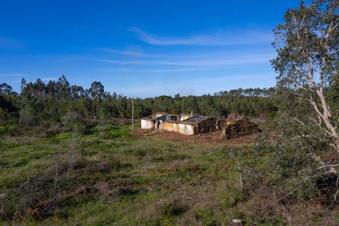 Villa i Aljezur, Faro, Aljezur - € 330.000 | Ref: Qt-618 - foto 17