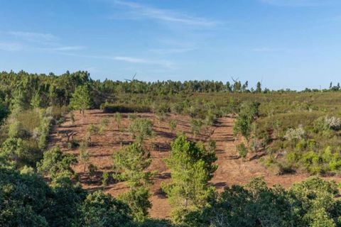 Villa i Aljezur, Faro, Aljezur - € 480.000 | Ref: Qt-437 - foto 1