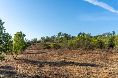 Villa i Aljezur, Faro, Aljezur - € 480.000 | Ref: Qt-437 - foto 10