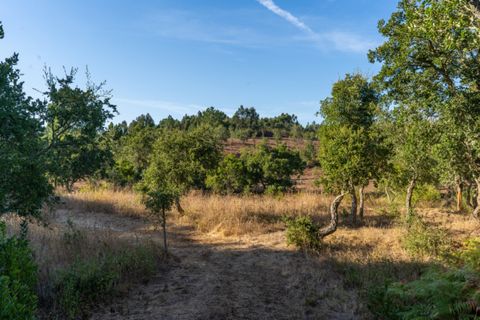 Villa i Aljezur, Faro, Aljezur - € 480.000 | Ref: Qt-437 - foto 4