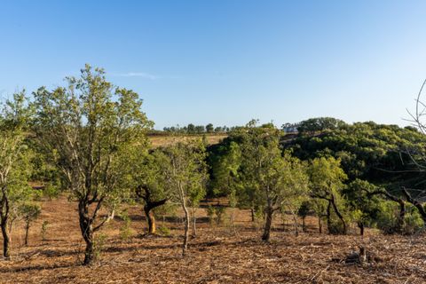 Villa i Aljezur, Faro, Aljezur - € 480.000 | Ref: Qt-437 - foto 19