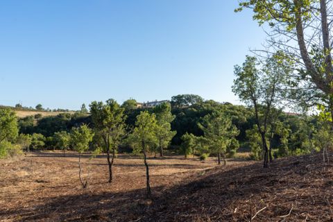 Villa i Aljezur, Faro, Aljezur - € 480.000 | Ref: Qt-437 - foto 20
