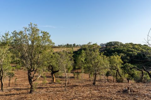 Villa i Aljezur, Faro, Aljezur - € 480.000 | Ref: Qt-437 - foto 21