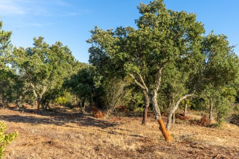 Villa i Aljezur, Faro, Aljezur - € 480.000 | Ref: Qt-437 - foto 13