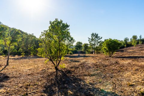 Villa i Aljezur, Faro, Aljezur - € 480.000 | Ref: Qt-437 - foto 14