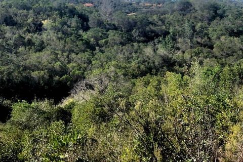 Helårsgrund i Odemira, Beja, Odemira - € 120.000 | Ref: T-765 - foto 2