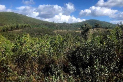 Helårsgrund i Odemira, Beja, Odemira - € 120.000 | Ref: T-765 - foto 4