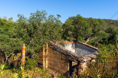 Villa i Aljezur, Faro, Aljezur - € 2.100.000 | Ref: Qt-695 - foto 3