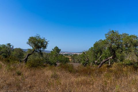 Villa i Aljezur, Faro, Aljezur - € 2.100.000 | Ref: Qt-695 - foto 4