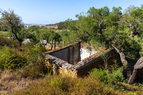 Villa i Aljezur, Faro, Aljezur - € 2.100.000 | Ref: Qt-695 - foto 10