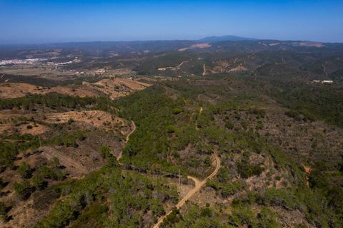 Villa i Aljezur, Faro, Aljezur - € 2.100.000 | Ref: Qt-695 - foto 11