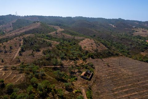 Villa i Aljezur, Faro, Aljezur - € 2.100.000 | Ref: Qt-695 - foto 14