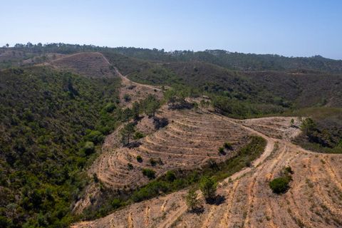 Villa i Aljezur, Faro, Aljezur - € 2.100.000 | Ref: Qt-695 - foto 15