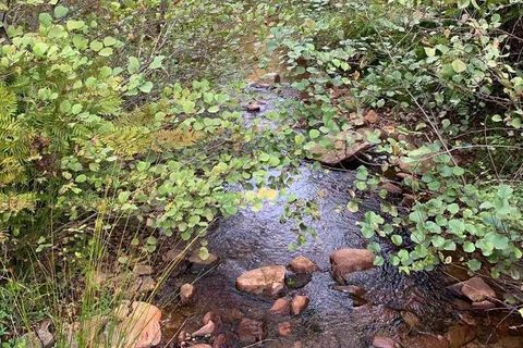 Helårsgrund i Monchique, Faro, Monchique - € 47.000 | Ref: T-526 - foto 4