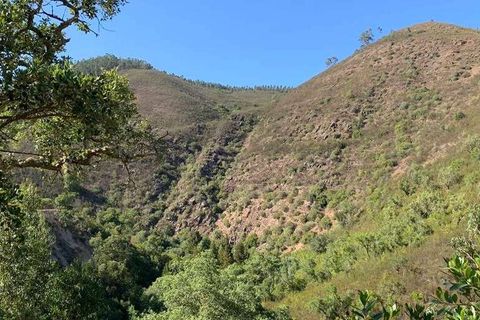 Villa i Monchique, Faro, Monchique - € 145.000 | Ref: Qt-504 - foto 7