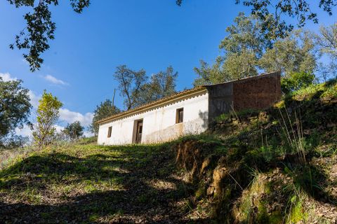 Villa i Monchique, Faro, Monchique - € 95.000 | Ref: Qt-607 - foto 2