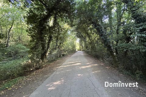 Landejendom i Capalbio, Grosseto, Capalbio - € 650.000 | Ref: v-0094 - foto 2