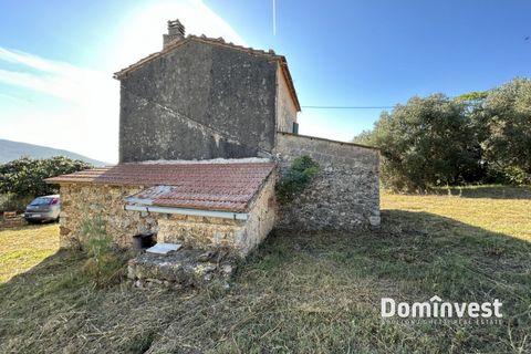Landejendom i Capalbio, Grosseto, Capalbio - € 650.000 | Ref: v-0094 - foto 3