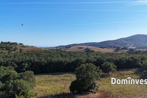 Landejendom i Capalbio, Grosseto, Capalbio - € 650.000 | Ref: v-0094 - foto 7