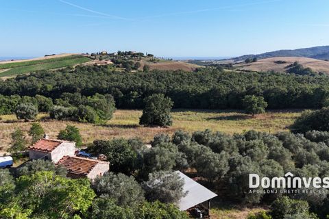 Landejendom i Capalbio, Grosseto, Capalbio - € 650.000 | Ref: v-0094 - foto 8
