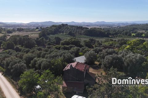 Landejendom i Capalbio, Grosseto, Capalbio - € 650.000 | Ref: v-0094 - foto 9