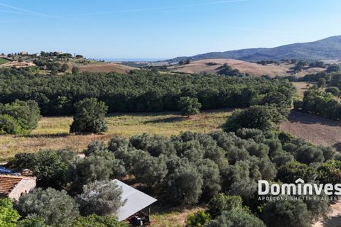 Landejendom i Capalbio, Grosseto, Capalbio - € 650.000 | Ref: v-0094 - foto 10