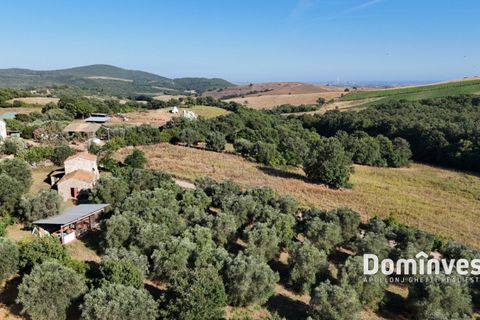 Landejendom i Capalbio, Grosseto, Capalbio - € 650.000 | Ref: v-0094 - foto 11