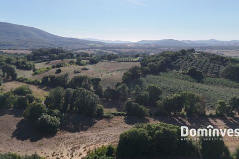 Landejendom i Capalbio, Grosseto, Capalbio - € 650.000 | Ref: v-0094 - foto 12