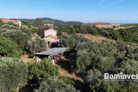 Landejendom i Capalbio, Grosseto, Capalbio - € 650.000 | Ref: v-0094 - foto 13