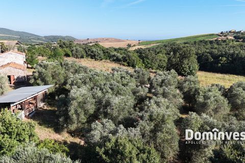 Landejendom i Capalbio, Grosseto, Capalbio - € 650.000 | Ref: v-0094 - foto 14