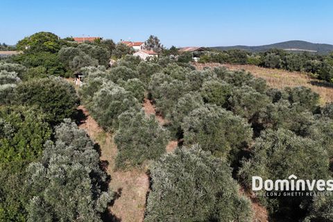 Landejendom i Capalbio, Grosseto, Capalbio - € 650.000 | Ref: v-0094 - foto 15