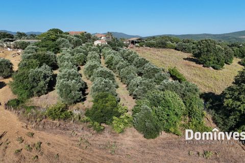 Landejendom i Capalbio, Grosseto, Capalbio - € 650.000 | Ref: v-0094 - foto 16